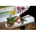 thumbnail image 3 of Miracle-Gro Engrais à vaporiser pour orchidées 236mL, 3 of 6