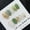 [S] code, variant on Avocado White Jade Golden Flower Oval Handmade Wearing Nail Piece Light Luxury Pure Handmade High Quality Control Nail