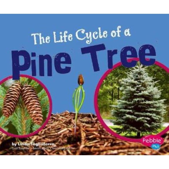 Pre-Owned The Life Cycle of a Pine Tree (Pebble Plus) (Unknown) 0736867120 9780736867122