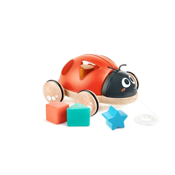 Mariquita Para Clasificar Formas Hape E0364