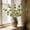 Green, variant on FeiFu Artificial Lantern Fruit Fake Flowers, Faux Physalis Stems for Fall Decor, Realistic Berry Picks for Vase Arrangements and Home Decoration, Flores Artificiales de Frutos de Linterna