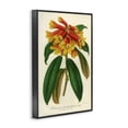 thumbnail image 2 of Stupell Industries Victorian Orange Yellow Rhododendron Black Framed Giclee Art, 12 x 18, by Print Collection, 2 of 8