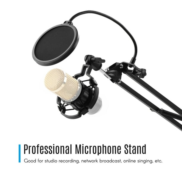 Support de bras de microphone, support de micro à ciseaux à perche de  suspension réglable avec adaptateur de filtre anti-pop, clip de micro,  pince