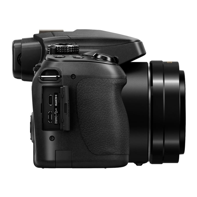 panasonic lumix fz80 60x
