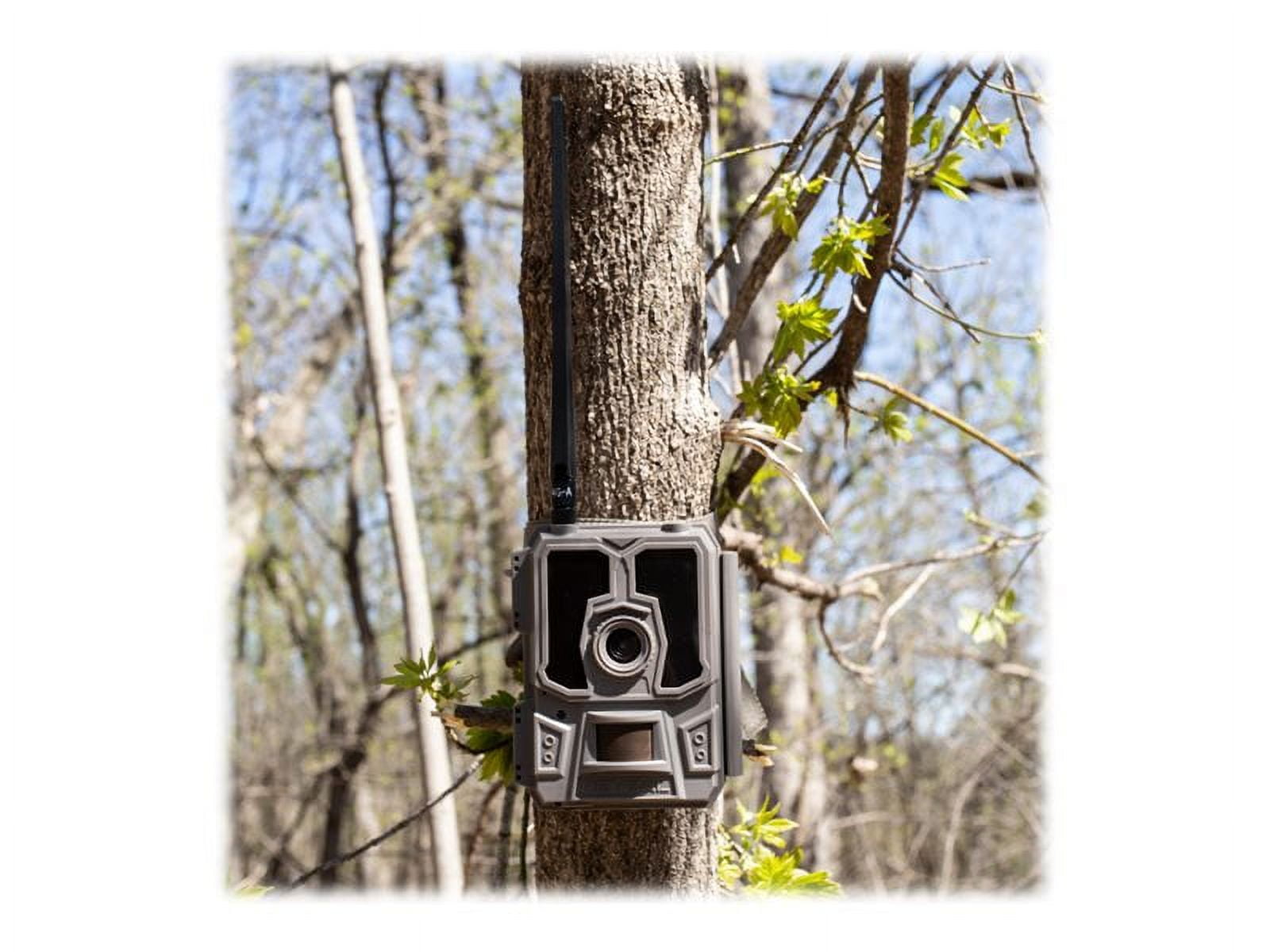 Tactacam REVEAL Cellular Trail Camera (Verizon), LTE-enabled, 24MP, Outdoor Photo hunting trail monitor