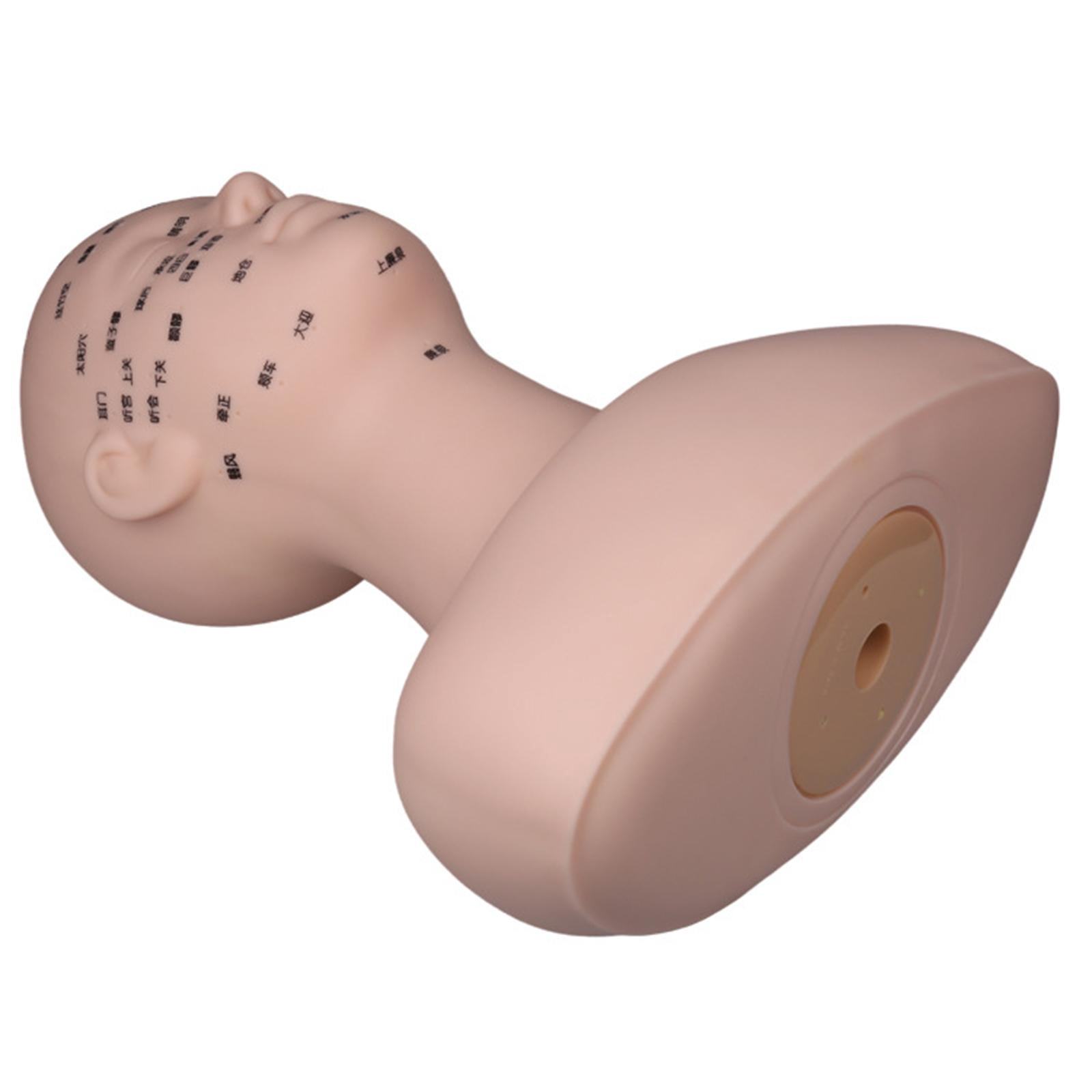 Professional Practice Training Mannequin Reusable Makeup Manikin with Shoulder Washable for Cosmetology Artists Beginners Beauty Salon
