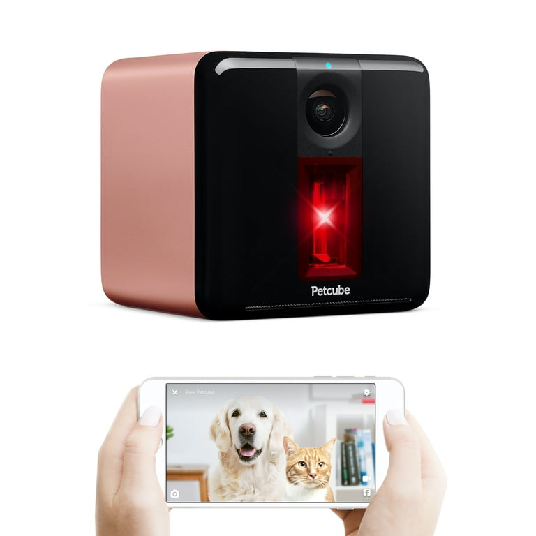 Petcube alexa top