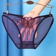 thumbnail image 1 of Lefu Women Underwear Lace Mesh Comfortable See-through Breathable Large Size Briefs, 1 of 9
