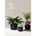 thumbnail image 6 of BEMAY Ceramic Plant Pots, 4"+5"+6.8" Flower Pots with Drainage Hole & Saucer, Pack of 3, Black, 6 of 9