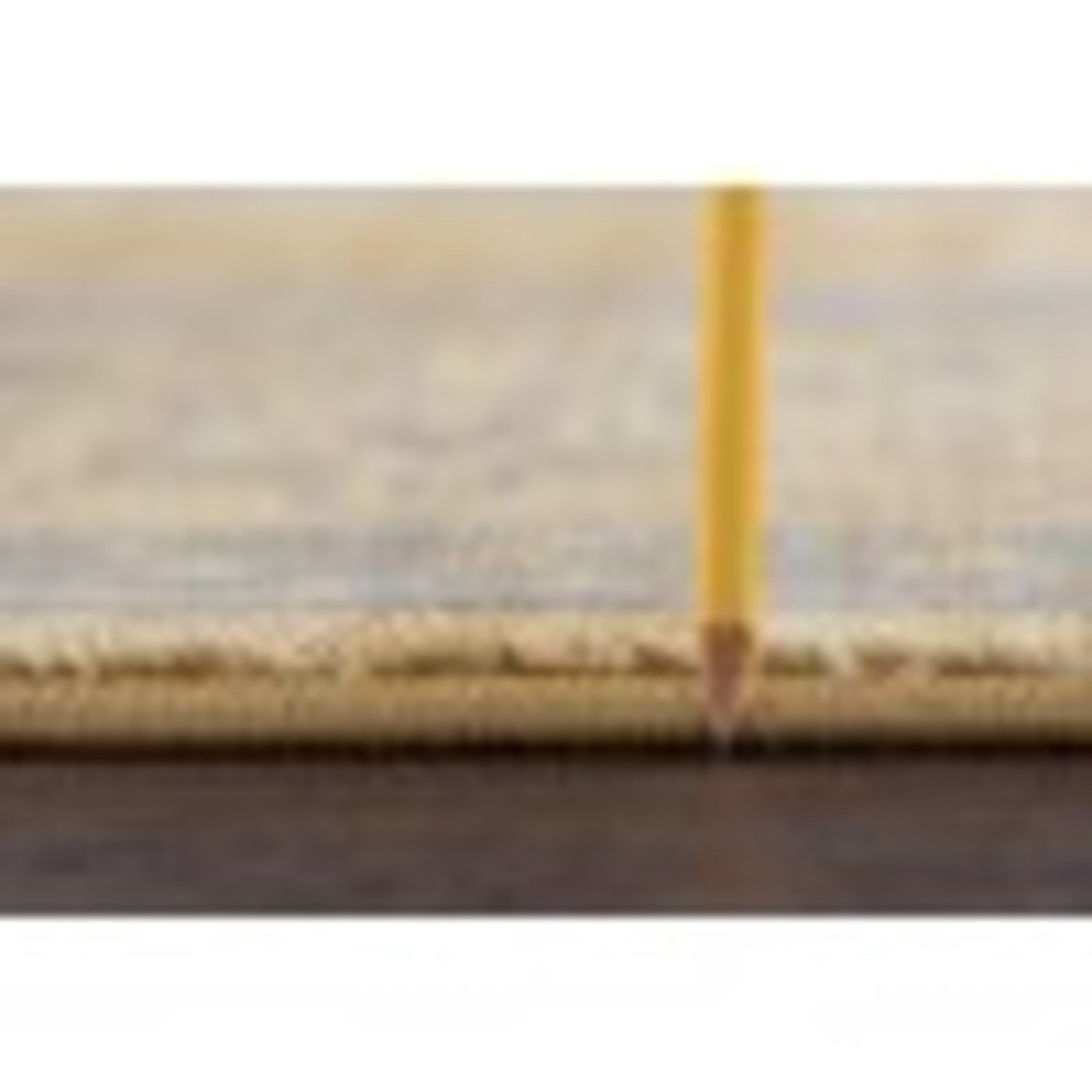 Sensation Transitional 5' Round Beige and Slate Blue Polypropylene Indoor Area Rug