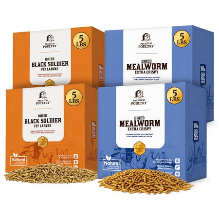 Premium Poultry Dried Mealworms & Black Soldier Fly Larvae 4-Pack Chicken Treat