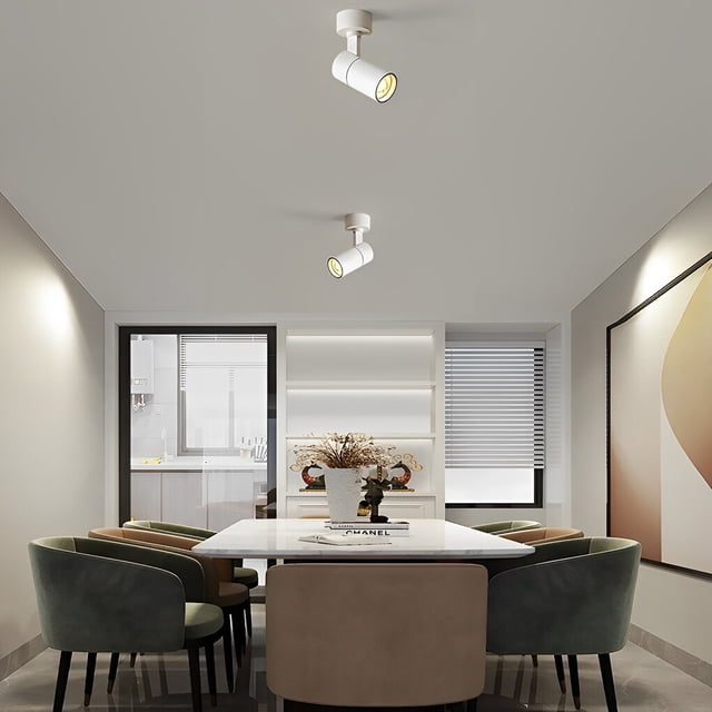 Projecteur Minimaliste Rond à LED Réglable de Haut en Bas Monté au Plafond