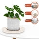 thumbnail image 5 of 20 piezas de platillos para plantas, bandeja de plástico para macetas, bandeja redonda para goteo de plantas para interior y exterior, 5 of 7