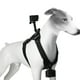 thumbnail image 3 of Chaleco Para Perro, Soporte Para Cámara De Acción, Cámara De Acción, Arnés Para Perro, Fijación En El Pecho Y La Espalda Para Grabar, 3 of 7