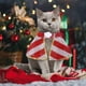 thumbnail image 1 of XWSHYW Ropa para Mascotas para Perros Pequeños. Mascota Perro Navidad Divertido Vestir Ropa Capa, 1 of 3