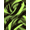 Green, Pattern 3, variant on ODIKA 4'x6' Machine Washable Non-Slip Area Rug, Abstract Green High Traffic Rug, Green, 1273584