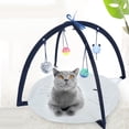 thumbnail image 1 of Portable Cat Tent Toys Funny Mobile Activity Station Helps Cats Get Exercise Mat, 1 of 8