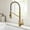 Spot Free Brushed Brass, variant on Kraus Kpf-1693 Britt 1.8 GPM Single Hole Pre-Rinse Pull Down Kitchen Faucet - Black