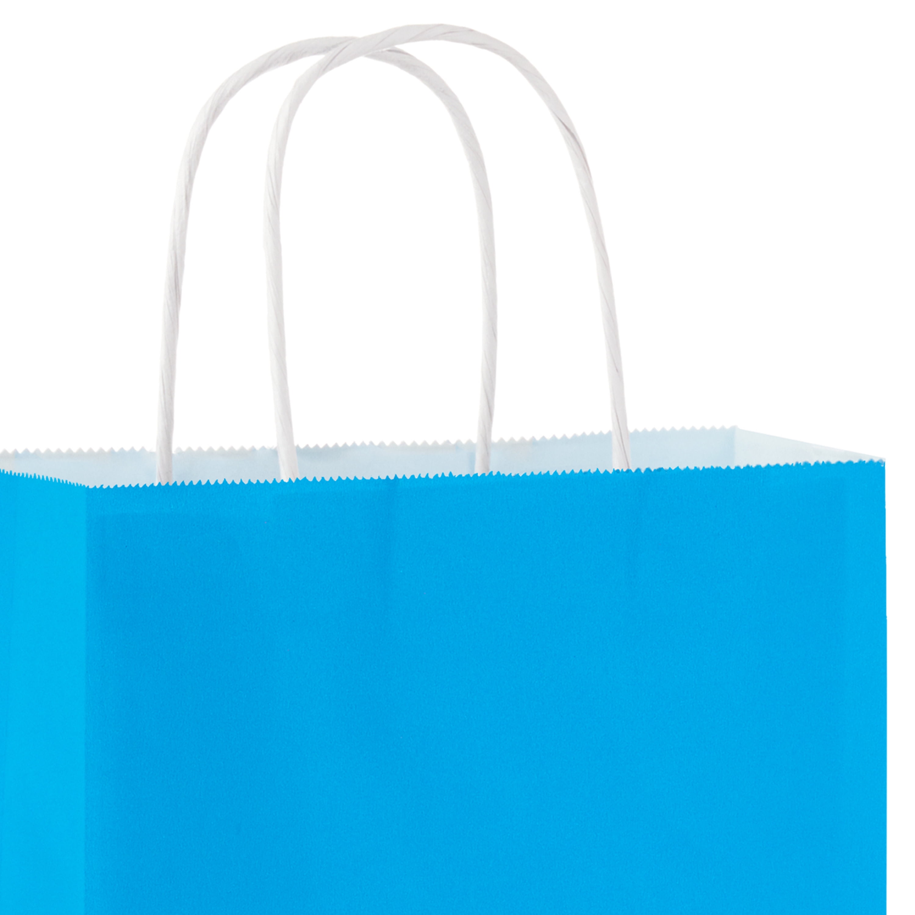 Hallmark Medium Gift Bag (Solid Blue)