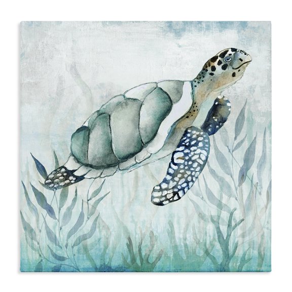 Stupell Industries Coastal Turtle & Seaweed Canvas Art, 30 x 30, by Janet Tava