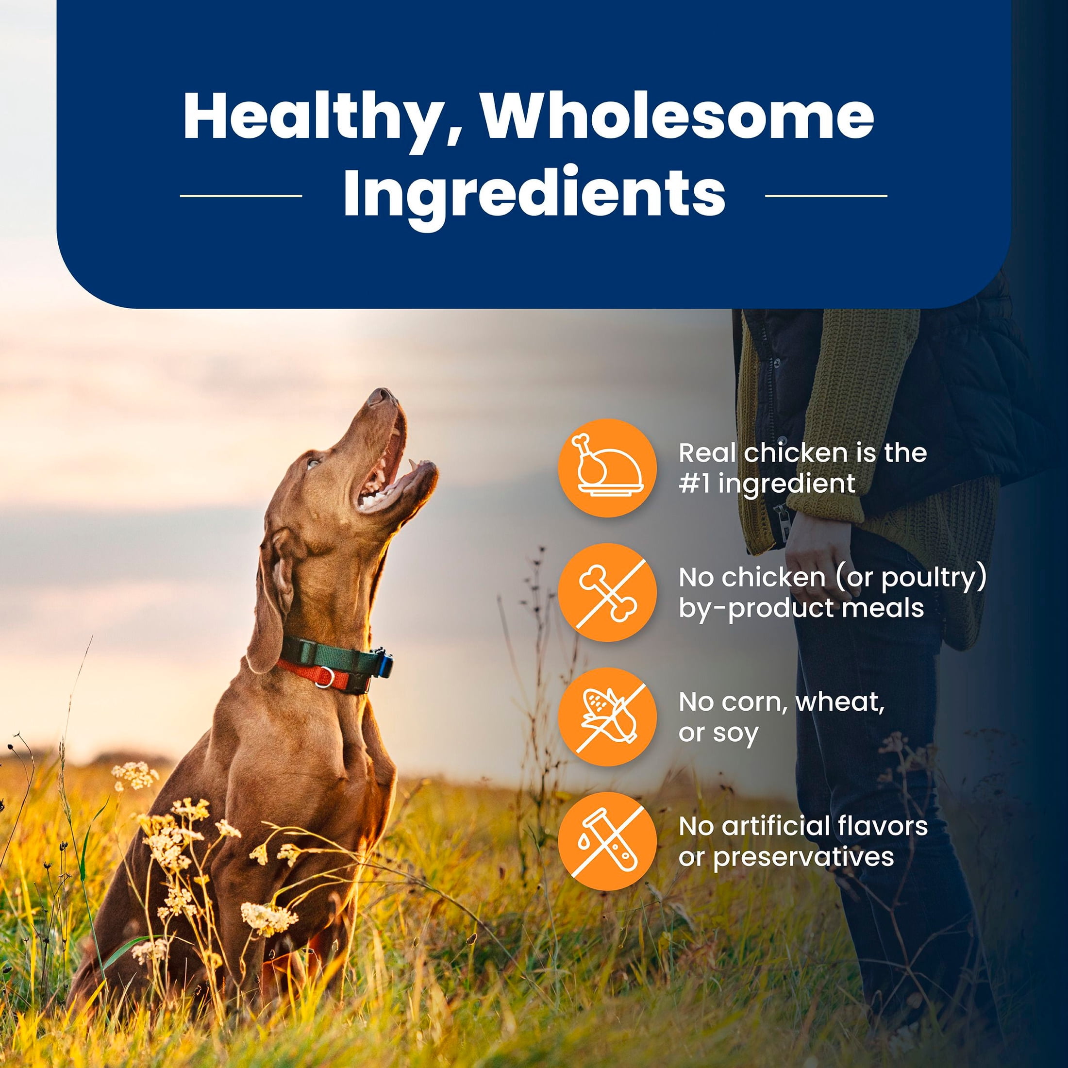 BLUE Life Protection Formula, Natural Large Breed Adult Dry Dog Food, Chicken, 40lb