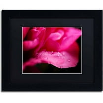 Trademark Fine Art "Peony Drops" Canvas Art by Philippe Sainte-Laudy, Black Matte, Black Frame