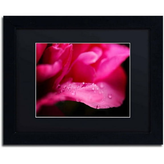 Trademark Fine Art "Peony Drops" Canvas Art by Philippe Sainte-Laudy, Black Matte, Black Frame