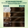View all media