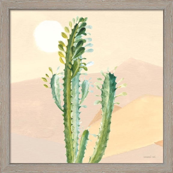 Great Art Now Desert Greenhouse II by Danhui Nai, Framed Wall Art, 13W x 13H