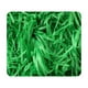 thumbnail image 2 of Bolsa de 100 g de papel de confeti arrugado | Relleno colorido para cajas de regalo y cestas para fiestas, manualidades y decoración | Incluye 1 paquete, 2 of 4