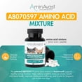 thumbnail image 3 of AminAvast Kidney Support for Cats & Small Dogs, 300mg, 60 Capsules, 3 of 11