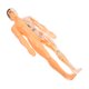 thumbnail image 5 of 1 juego de rompecabezas 3D translúcido de anatomía del cuerpo humano para bricolaje, órganos extraíbles, huesos y estructura esquelética, juguete de aprendizaje cognitivo, 5 of 8