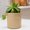 Gold, variant on Clearance!Giyblacko Ceramic Plant Pots With Hole Cylindrical Plant Pot Flower Planter Pots Decorative Small Garden Pots For Indoor Outdoor Plants Flowers Cactus Garden Home Decor