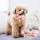 thumbnail image 4 of Collar de Gato con Campanas 1 Cuello de Mascota Lindo Perlas de Arco de Encaje Rosa Cuello de Gato de Campana Cuello de Mascota de la Flor Cuello de Gato Suave Ajustable Cuello de Gato Rosa, 4 of 6