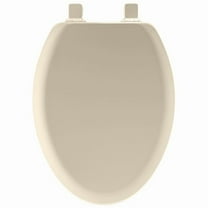 Elongate Wound Toilet Seat, Bone