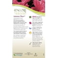 thumbnail image 3 of Encore Azalea Autumn Cheer (3 Gallon) Pink Flowering Shrub - Full Sun Live Outdoor Plant, 3 of 6
