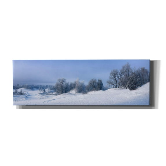 Epic Graffiti 'Panorama Winter Dunes' by Istvan Nagy, Canvas Wall Art, 60"x20"
