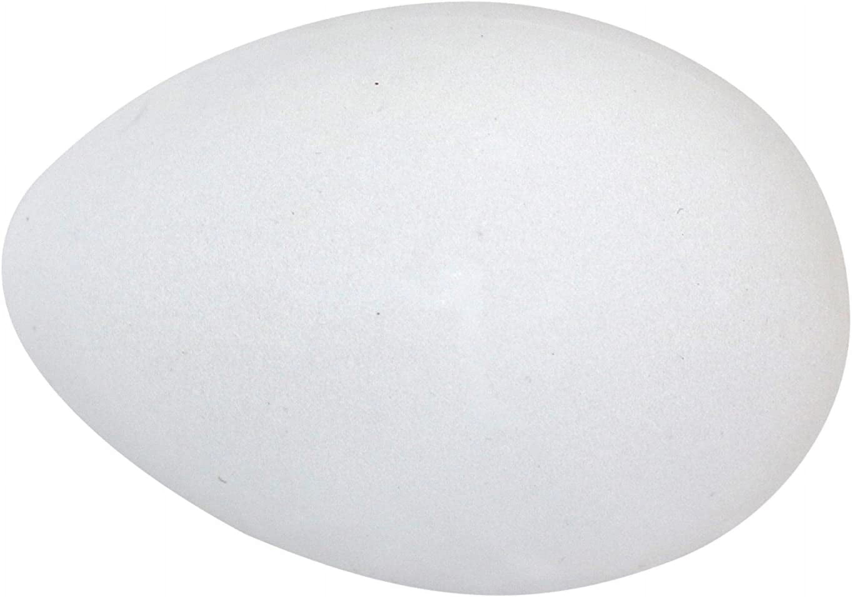Dyeable Decorating Faux Fake Easter Eggs, 24-Pack