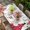 DarkRed, variant on Happy Birthday Table Cloths for 4 Foot Rectangle Tables, Green Dress Crown Carriage Flowers Butterfly Patio Waterproof Elastic Fitted Tablecloths, Washable Rectangular Table Cover for Camping