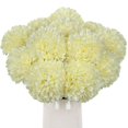 thumbnail image 1 of Planta artificial Briful, crisantemo, 28 cm, color blanco crema, 12 unidades, 1 of 7