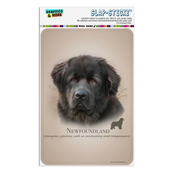 Newfoundland Dog Breed Home Business Office Sign