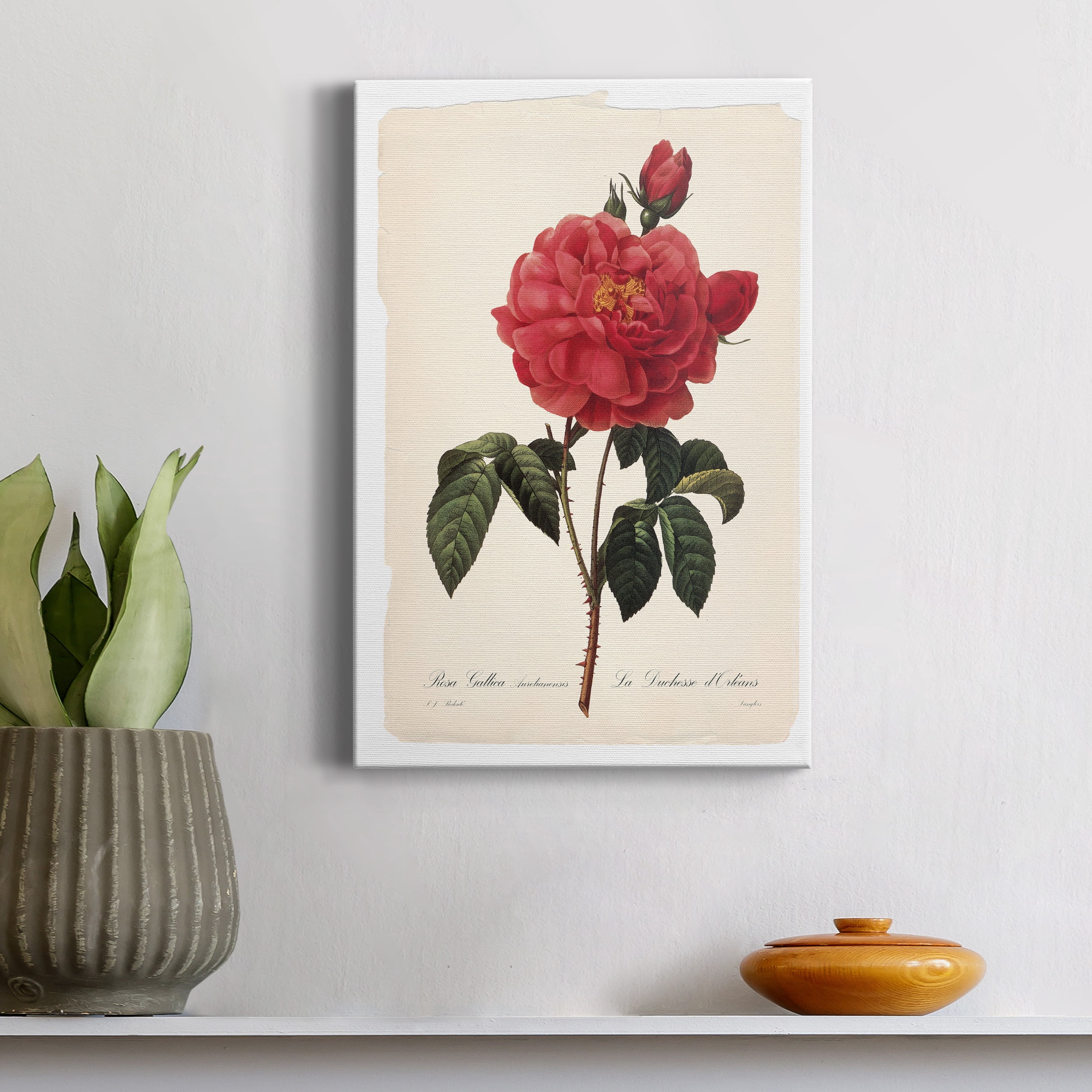 Red Botanical III Premium Gallery Wrapped Canvas - Ready to Hang - 8 x 12