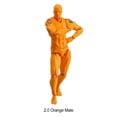 thumbnail image 3 of Tholdsy Juguetes modelo de cuerpo humano de PVC con exquisitos juguetes cognitivos científicos para niños, muñeca Kun, elección de regalo pinturas macho naranja, 3 of 6