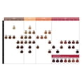 thumbnail image 4 of L'Oreal Majirel Permanent - 7.4 Dark Coppery Blonde, 4 of 4
