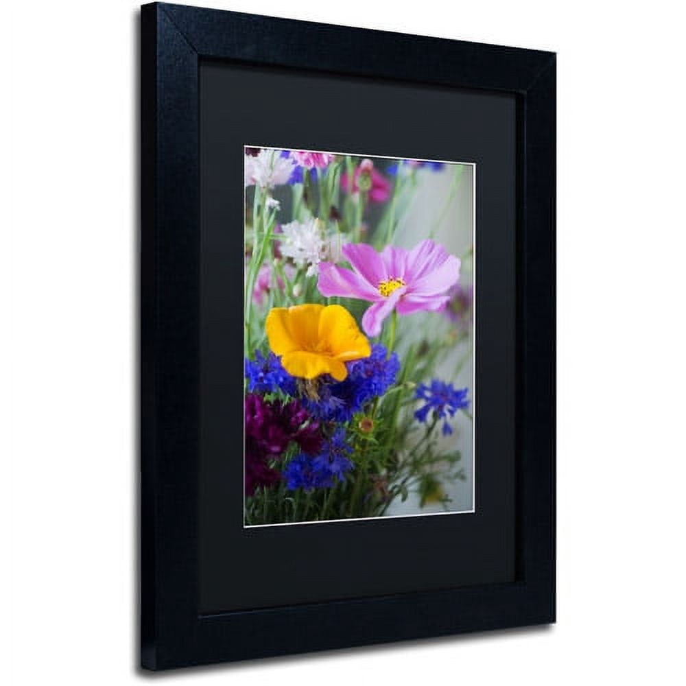 Trademark Fine Art "Cosmo Duo" Canvas Art by Philippe Sainte-Laudy, Black Matte, Black Frame
