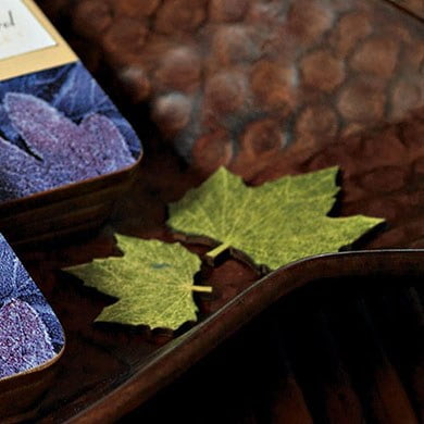 Maple Shaped Wooden Die-cut Leaves in Woods Green