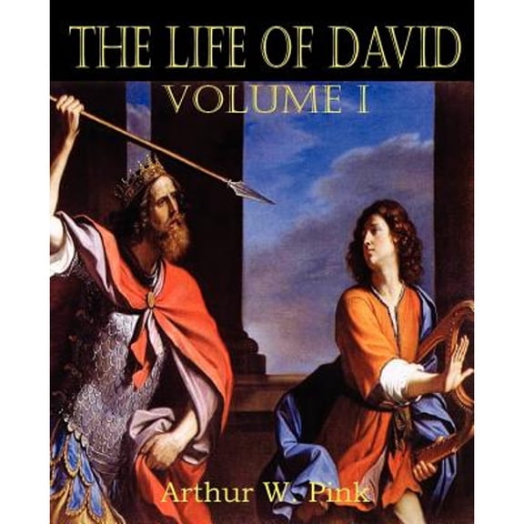 The Life of David Volume I (Paperback)