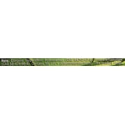 Tobacco Outlet Products H&PC-49477 Smoke Odor Exterminator 7oz Large Spray, Bamboo Breeze