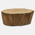 thumbnail image 2 of 24423-Uttermost-Woods Edge - Coffee Table-15 Inches Tall and 41.5 Inches Wide-Aged Sierra Brown Finish, 2 of 5
