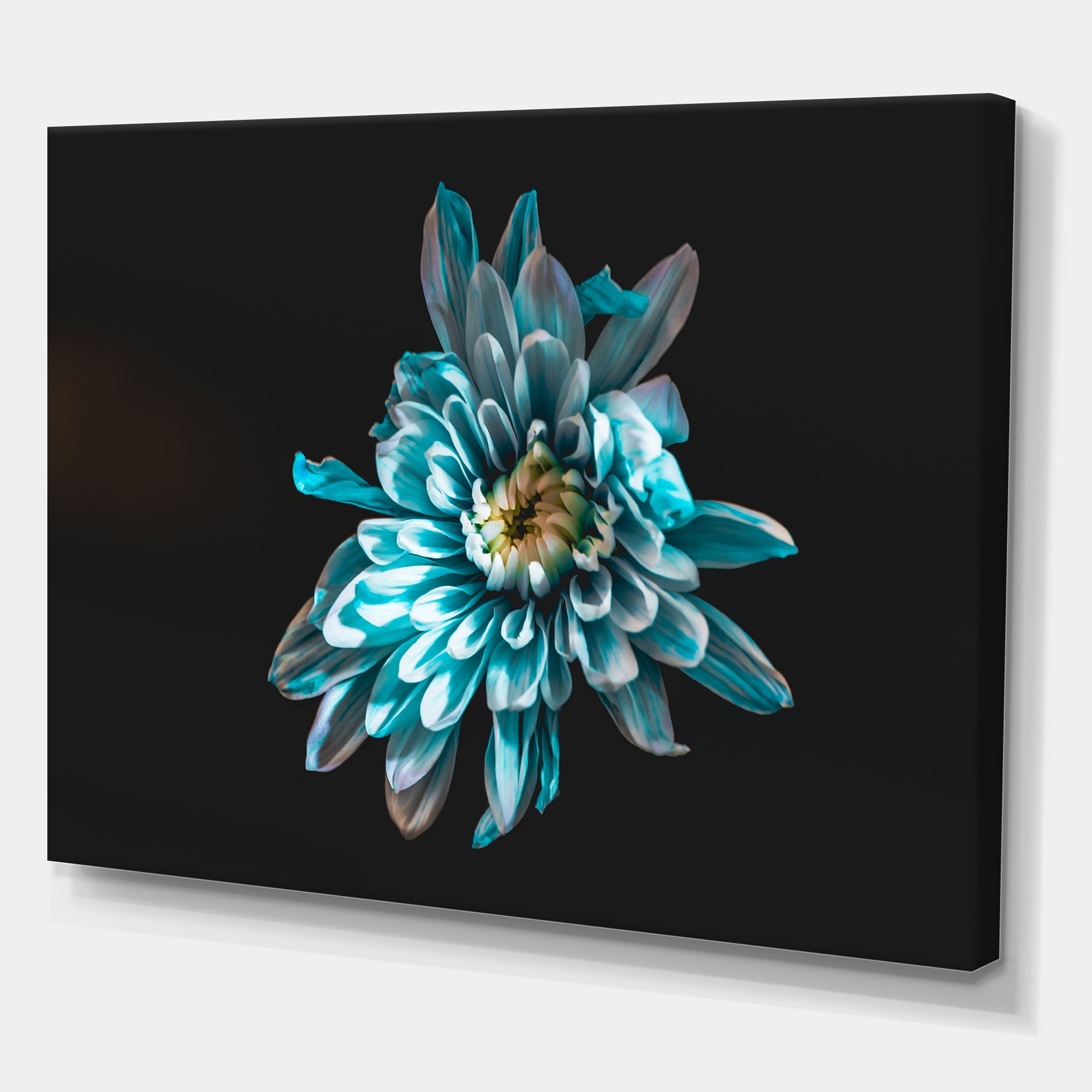 Designart ' Top View of White and Blue Flower ' Traditional Canvas Wall Art Print
